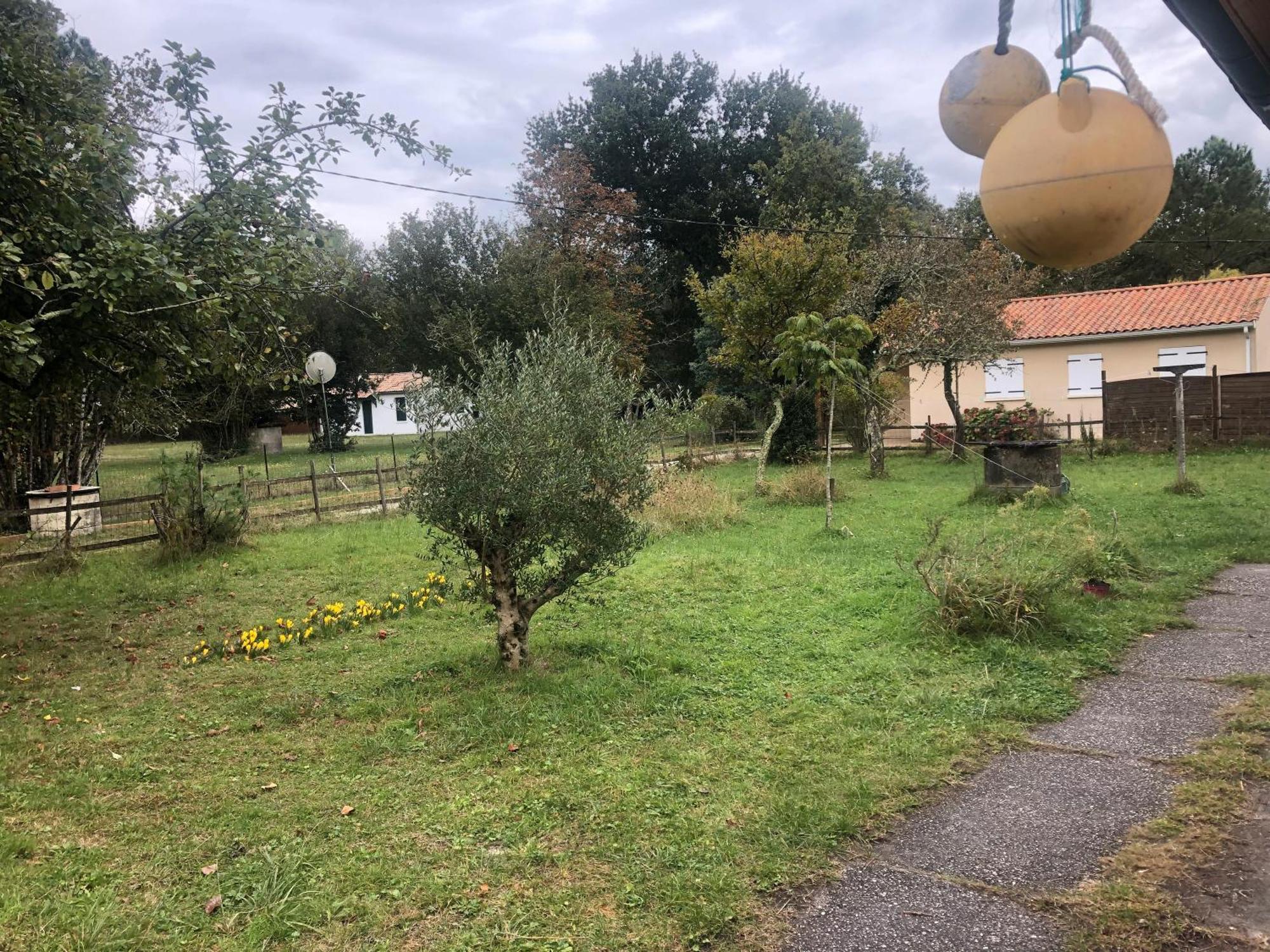 Petite Maison Rustique Et Atypique Hourtin Exteriör bild