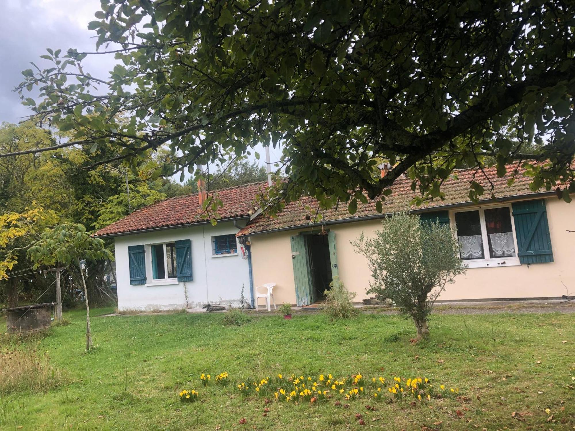 Petite Maison Rustique Et Atypique Hourtin Exteriör bild